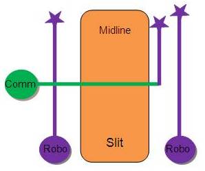 Drosophila Axon expressing Comm and crossing the midline